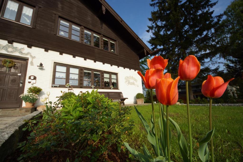Gaestehaus Funk Bad Feilnbach Exterior photo