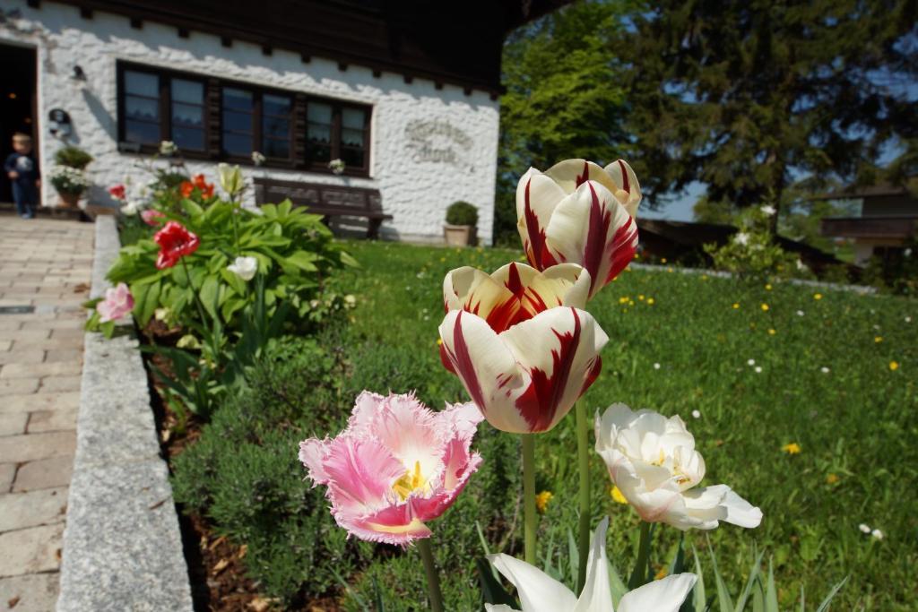 Gaestehaus Funk Bad Feilnbach Exterior photo